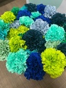 CLAVELES GRANDES TONOS AZULES Y VERDES