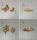 BROCHES COLOR ORO